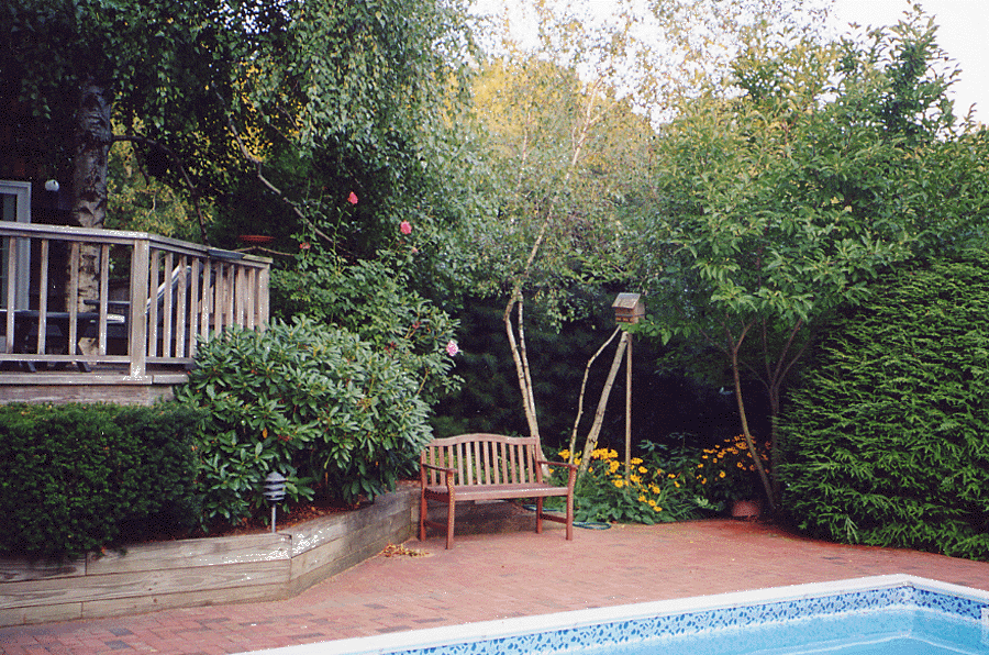 landscape1.gif