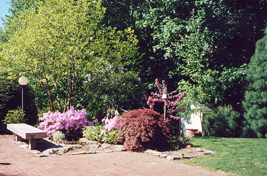 landscape3.gif