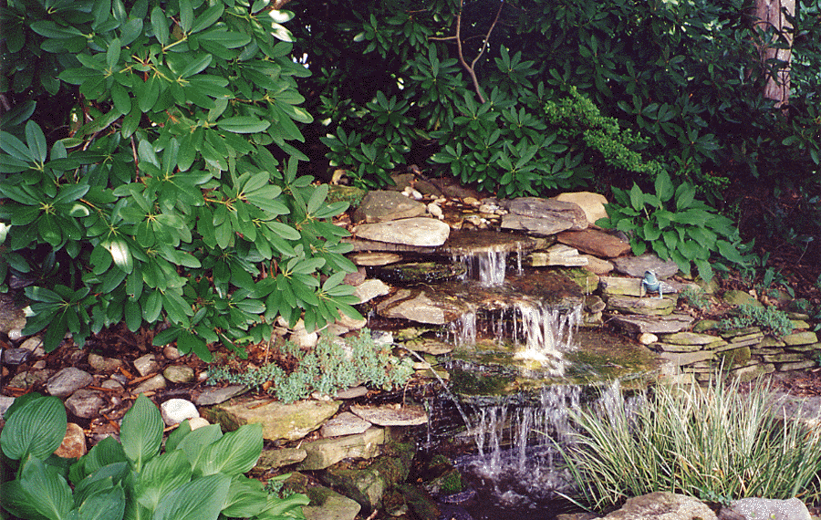 landscape4.gif